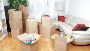 Packers and Movers Hafeezpet Hyderabad